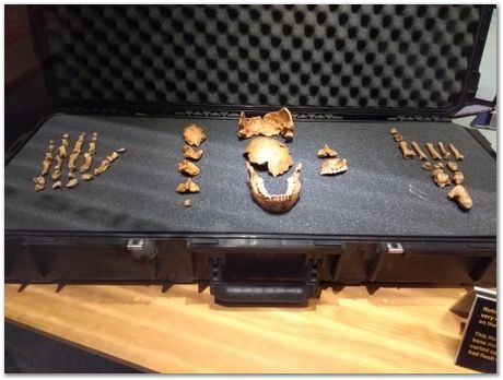 img_20171203_111906404.jpg Cradle of humankind, South Africa, University of Pretoria, EMSA conference, 2017, Electron microsopy of south africa, Nelson Mandela University, Cape Town University, Johan Westraadt, Rob Knutsen, Roelf Mostert, Jan Neethling, steel, machine learning Harry Bhadeshia