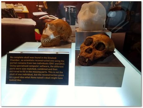 img_20171203_112051505_hdr.jpg Cradle of humankind, South Africa, University of Pretoria, EMSA conference, 2017, Electron microsopy of south africa, Nelson Mandela University, Cape Town University, Johan Westraadt, Rob Knutsen, Roelf Mostert, Jan Neethling, steel, machine learning Harry Bhadeshia