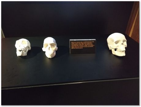 img_20171203_112129151.jpg Cradle of humankind, South Africa, University of Pretoria, EMSA conference, 2017, Electron microsopy of south africa, Nelson Mandela University, Cape Town University, Johan Westraadt, Rob Knutsen, Roelf Mostert, Jan Neethling, steel, machine learning Harry Bhadeshia