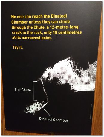 img_20171203_112744195.jpg Cradle of humankind, South Africa, University of Pretoria, EMSA conference, 2017, Electron microsopy of south africa, Nelson Mandela University, Cape Town University, Johan Westraadt, Rob Knutsen, Roelf Mostert, Jan Neethling, steel, machine learning Harry Bhadeshia