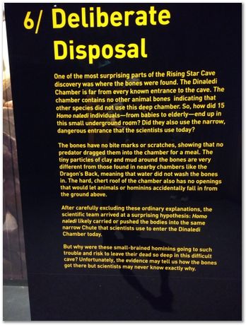 img_20171203_113053852.jpg Cradle of humankind, South Africa, University of Pretoria, EMSA conference, 2017, Electron microsopy of south africa, Nelson Mandela University, Cape Town University, Johan Westraadt, Rob Knutsen, Roelf Mostert, Jan Neethling, steel, machine learning Harry Bhadeshia