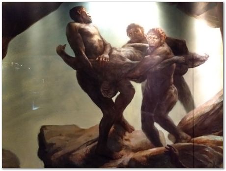 img_20171203_113110158.jpg Cradle of humankind, South Africa, University of Pretoria, EMSA conference, 2017, Electron microsopy of south africa, Nelson Mandela University, Cape Town University, Johan Westraadt, Rob Knutsen, Roelf Mostert, Jan Neethling, steel, machine learning Harry Bhadeshia