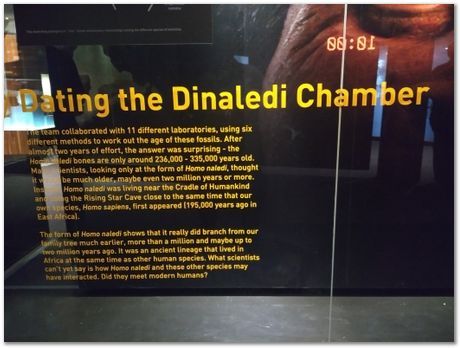 img_20171203_113258044.jpg Cradle of humankind, South Africa, University of Pretoria, EMSA conference, 2017, Electron microsopy of south africa, Nelson Mandela University, Cape Town University, Johan Westraadt, Rob Knutsen, Roelf Mostert, Jan Neethling, steel, machine learning Harry Bhadeshia