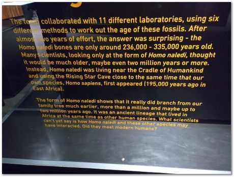 img_20171203_113440304.jpg Cradle of humankind, South Africa, University of Pretoria, EMSA conference, 2017, Electron microsopy of south africa, Nelson Mandela University, Cape Town University, Johan Westraadt, Rob Knutsen, Roelf Mostert, Jan Neethling, steel, machine learning Harry Bhadeshia