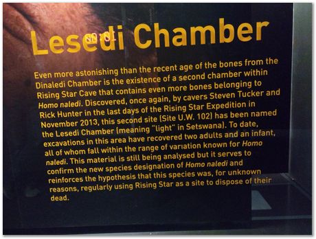 img_20171203_113549161.jpg Cradle of humankind, South Africa, University of Pretoria, EMSA conference, 2017, Electron microsopy of south africa, Nelson Mandela University, Cape Town University, Johan Westraadt, Rob Knutsen, Roelf Mostert, Jan Neethling, steel, machine learning Harry Bhadeshia