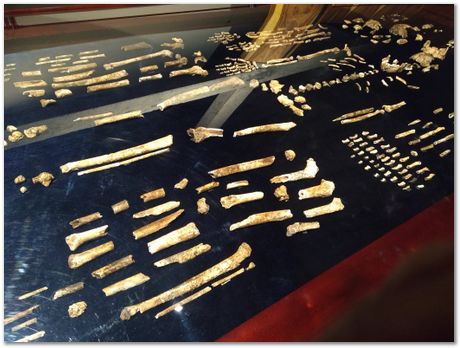 img_20171203_113813007.jpg Cradle of humankind, South Africa, University of Pretoria, EMSA conference, 2017, Electron microsopy of south africa, Nelson Mandela University, Cape Town University, Johan Westraadt, Rob Knutsen, Roelf Mostert, Jan Neethling, steel, machine learning Harry Bhadeshia