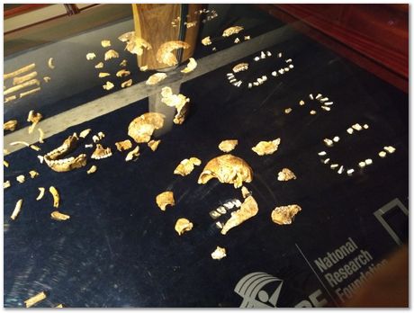 img_20171203_113843883.jpg Cradle of humankind, South Africa, University of Pretoria, EMSA conference, 2017, Electron microsopy of south africa, Nelson Mandela University, Cape Town University, Johan Westraadt, Rob Knutsen, Roelf Mostert, Jan Neethling, steel, machine learning Harry Bhadeshia