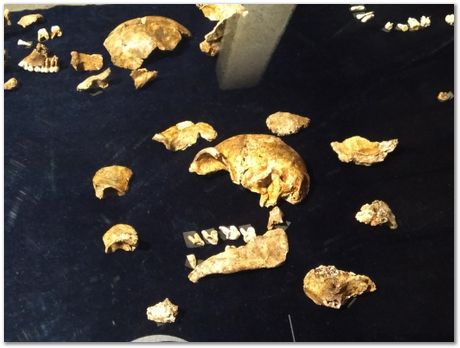 img_20171203_113957810.jpg Cradle of humankind, South Africa, University of Pretoria, EMSA conference, 2017, Electron microsopy of south africa, Nelson Mandela University, Cape Town University, Johan Westraadt, Rob Knutsen, Roelf Mostert, Jan Neethling, steel, machine learning Harry Bhadeshia