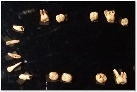 img_20171203_114007920_2.jpg Cradle of humankind, South Africa, University of Pretoria, EMSA conference, 2017, Electron microsopy of south africa, Nelson Mandela University, Cape Town University, Johan Westraadt, Rob Knutsen, Roelf Mostert, Jan Neethling, steel, machine learning Harry Bhadeshia