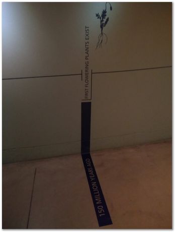 img_20171203_114608824.jpg Cradle of humankind, South Africa, University of Pretoria, EMSA conference, 2017, Electron microsopy of south africa, Nelson Mandela University, Cape Town University, Johan Westraadt, Rob Knutsen, Roelf Mostert, Jan Neethling, steel, machine learning Harry Bhadeshia