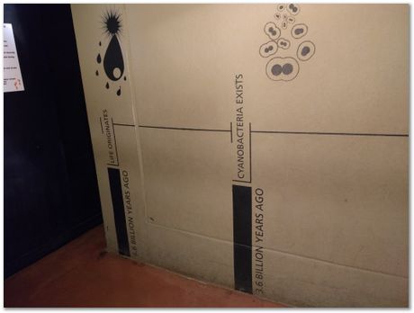 img_20171203_114848699.jpg Cradle of humankind, South Africa, University of Pretoria, EMSA conference, 2017, Electron microsopy of south africa, Nelson Mandela University, Cape Town University, Johan Westraadt, Rob Knutsen, Roelf Mostert, Jan Neethling, steel, machine learning Harry Bhadeshia