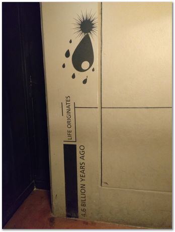 img_20171203_114857820.jpg Cradle of humankind, South Africa, University of Pretoria, EMSA conference, 2017, Electron microsopy of south africa, Nelson Mandela University, Cape Town University, Johan Westraadt, Rob Knutsen, Roelf Mostert, Jan Neethling, steel, machine learning Harry Bhadeshia