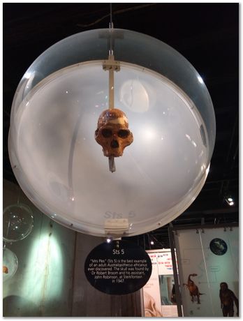 img_20171203_120601406.jpg Cradle of humankind, South Africa, University of Pretoria, EMSA conference, 2017, Electron microsopy of south africa, Nelson Mandela University, Cape Town University, Johan Westraadt, Rob Knutsen, Roelf Mostert, Jan Neethling, steel, machine learning Harry Bhadeshia