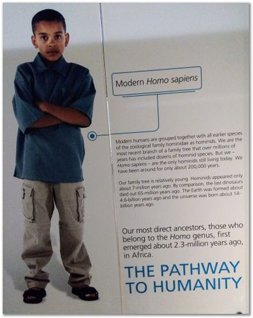 img_20171203_120714049_2.jpg Cradle of humankind, South Africa, University of Pretoria, EMSA conference, 2017, Electron microsopy of south africa, Nelson Mandela University, Cape Town University, Johan Westraadt, Rob Knutsen, Roelf Mostert, Jan Neethling, steel, machine learning Harry Bhadeshia