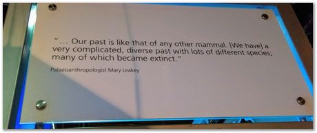 img_20171203_120956518_2.jpg Cradle of humankind, South Africa, University of Pretoria, EMSA conference, 2017, Electron microsopy of south africa, Nelson Mandela University, Cape Town University, Johan Westraadt, Rob Knutsen, Roelf Mostert, Jan Neethling, steel, machine learning Harry Bhadeshia