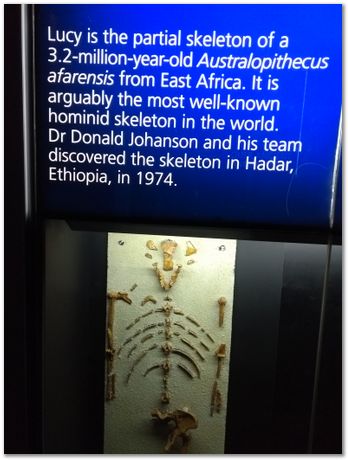 img_20171203_121026253.jpg Cradle of humankind, South Africa, University of Pretoria, EMSA conference, 2017, Electron microsopy of south africa, Nelson Mandela University, Cape Town University, Johan Westraadt, Rob Knutsen, Roelf Mostert, Jan Neethling, steel, machine learning Harry Bhadeshia