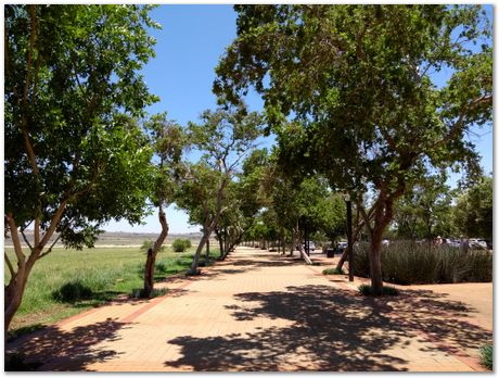 img_20171203_123635054.jpg Cradle of humankind, South Africa, University of Pretoria, EMSA conference, 2017, Electron microsopy of south africa, Nelson Mandela University, Cape Town University, Johan Westraadt, Rob Knutsen, Roelf Mostert, Jan Neethling, steel, machine learning Harry Bhadeshia