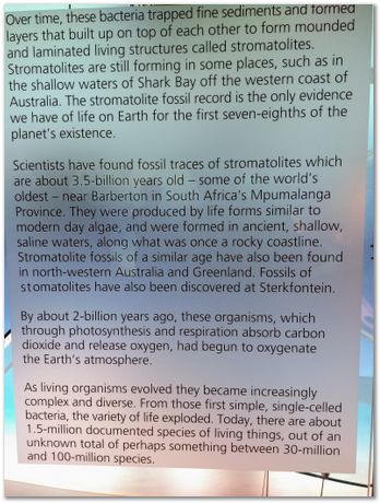 img_20171203_125704515_2.jpg Cradle of humankind, South Africa, University of Pretoria, EMSA conference, 2017, Electron microsopy of south africa, Nelson Mandela University, Cape Town University, Johan Westraadt, Rob Knutsen, Roelf Mostert, Jan Neethling, steel, machine learning Harry Bhadeshia