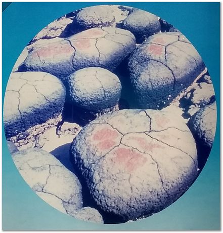 img_20171203_125815518_2.jpg Cradle of humankind, South Africa, University of Pretoria, EMSA conference, 2017, Electron microsopy of south africa, Nelson Mandela University, Cape Town University, Johan Westraadt, Rob Knutsen, Roelf Mostert, Jan Neethling, steel, machine learning Harry Bhadeshia