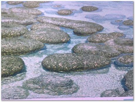 img_20171203_130029950.jpg Cradle of humankind, South Africa, University of Pretoria, EMSA conference, 2017, Electron microsopy of south africa, Nelson Mandela University, Cape Town University, Johan Westraadt, Rob Knutsen, Roelf Mostert, Jan Neethling, steel, machine learning Harry Bhadeshia