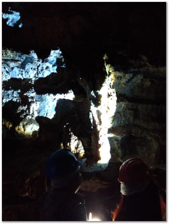 Cradle of humankind, South Africa, University of Pretoria, EMSA conference, 2017, Electron microsopy of south africa, Nelson Mandela University, Cape Town University, Johan Westraadt, Rob Knutsen, Roelf Mostert, Jan Neethling, steel, machine learning Harry Bhadeshia