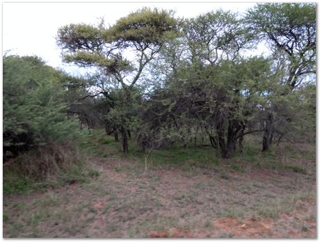 img_20171207_172634406.jpg Cradle of humankind, South Africa, University of Pretoria, EMSA conference, 2017, Electron microsopy of south africa, Nelson Mandela University, Cape Town University, Johan Westraadt, Rob Knutsen, Roelf Mostert, Jan Neethling, steel, machine learning Harry Bhadeshia