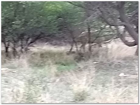 img_20171207_173318451_burst001.jpg Cradle of humankind, South Africa, University of Pretoria, EMSA conference, 2017, Electron microsopy of south africa, Nelson Mandela University, Cape Town University, Johan Westraadt, Rob Knutsen, Roelf Mostert, Jan Neethling, steel, machine learning Harry Bhadeshia