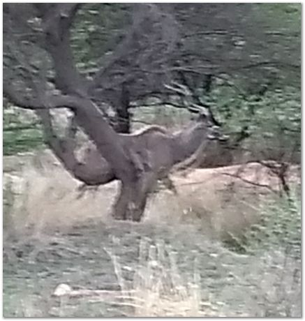 img_20171207_173323212_burst001_2.jpg Cradle of humankind, South Africa, University of Pretoria, EMSA conference, 2017, Electron microsopy of south africa, Nelson Mandela University, Cape Town University, Johan Westraadt, Rob Knutsen, Roelf Mostert, Jan Neethling, steel, machine learning Harry Bhadeshia
