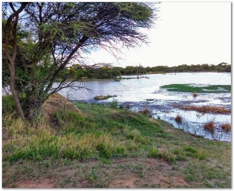 img_20171207_180521502_hdr_2.jpg Cradle of humankind, South Africa, University of Pretoria, EMSA conference, 2017, Electron microsopy of south africa, Nelson Mandela University, Cape Town University, Johan Westraadt, Rob Knutsen, Roelf Mostert, Jan Neethling, steel, machine learning Harry Bhadeshia