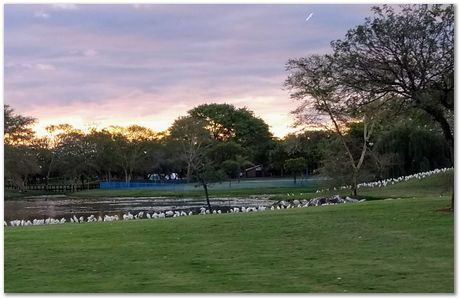 img_20171207_182322830_2.jpg Cradle of humankind, South Africa, University of Pretoria, EMSA conference, 2017, Electron microsopy of south africa, Nelson Mandela University, Cape Town University, Johan Westraadt, Rob Knutsen, Roelf Mostert, Jan Neethling, steel, machine learning Harry Bhadeshia