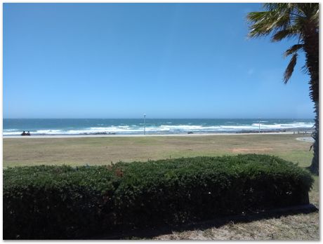 Cradle of humankind, South Africa, University of Pretoria, EMSA conference, 2017, Electron microsopy of south africa, Nelson Mandela University, Cape Town University, Johan Westraadt, Rob Knutsen, Roelf Mostert, Jan Neethling, steel, machine learning Harry Bhadeshia