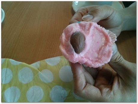 Hans Roelofs, Kyozo Arimoto, Koichi Ohtomi, Spring, March 2017, April 2017, Botanical Gardens, Cambridge University, Metallurgy, swords