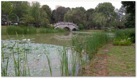 Harry Bhadeshia, Wuhan, China, Wuhan University of Science and Technology, WUST, Steels, Physical Metallurgy, 2017