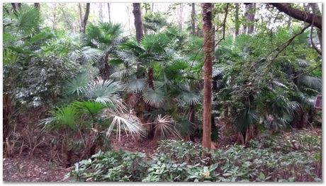 Harry Bhadeshia, Wuhan, China, Wuhan University of Science and Technology, WUST, Steels, Physical Metallurgy, 2017