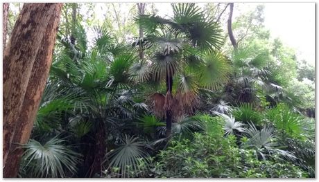 Harry Bhadeshia, Wuhan, China, Wuhan University of Science and Technology, WUST, Steels, Physical Metallurgy, 2017