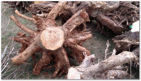 Harry Bhadeshia, Wuhan, China, Wuhan University of Science and Technology, WUST, Steels, Physical Metallurgy, 2017