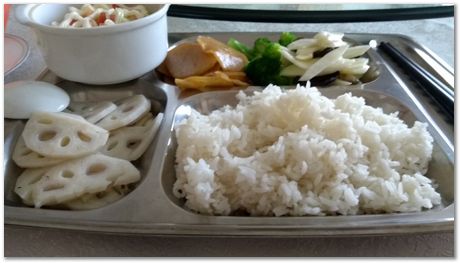 Harry Bhadeshia, Wuhan, China, Wuhan University of Science and Technology, WUST, Steels, Physical Metallurgy, 2017