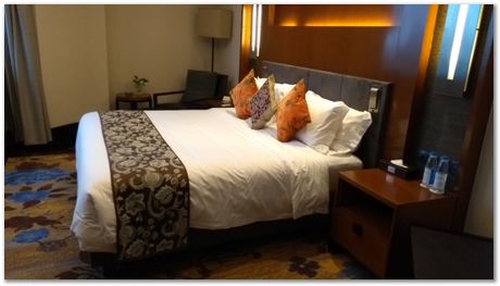 Harry Bhadeshia, Wuhan, China, Wuhan University of Science and Technology, WUST, Steels, Physical Metallurgy, 2017