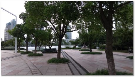 Harry Bhadeshia, Wuhan, China, Wuhan University of Science and Technology, WUST, Steels, Physical Metallurgy, 2017