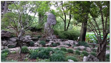 Harry Bhadeshia, Wuhan, China, Wuhan University of Science and Technology, WUST, Steels, Physical Metallurgy, 2017