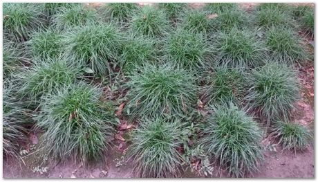 Harry Bhadeshia, Wuhan, China, Wuhan University of Science and Technology, WUST, Steels, Physical Metallurgy, 2017