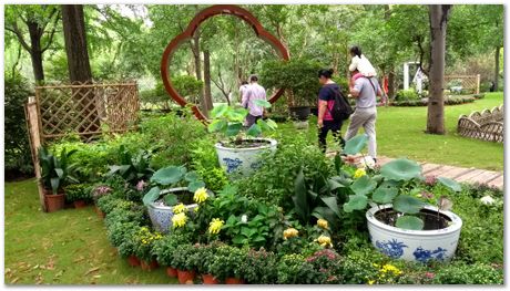 Harry Bhadeshia, Wuhan, China, Wuhan University of Science and Technology, WUST, Steels, Physical Metallurgy, 2017