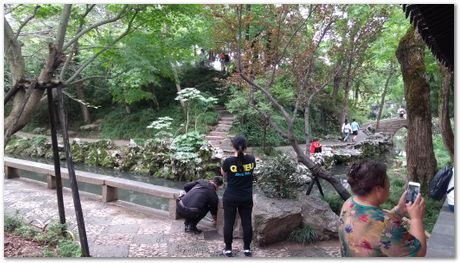 Harry Bhadeshia, Wuhan, China, Wuhan University of Science and Technology, WUST, Steels, Physical Metallurgy, 2017