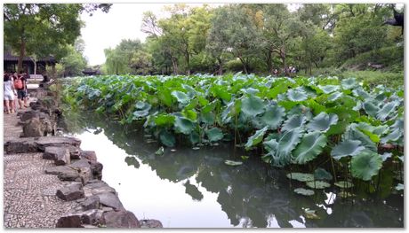 Harry Bhadeshia, Wuhan, China, Wuhan University of Science and Technology, WUST, Steels, Physical Metallurgy, 2017