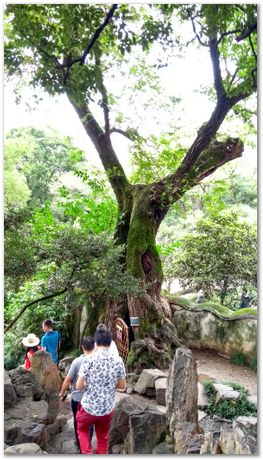Harry Bhadeshia, Wuhan, China, Wuhan University of Science and Technology, WUST, Steels, Physical Metallurgy, 2017