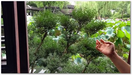 Harry Bhadeshia, Wuhan, China, Wuhan University of Science and Technology, WUST, Steels, Physical Metallurgy, 2017