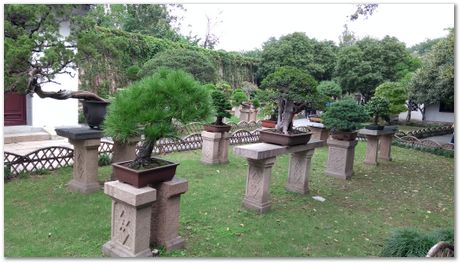 Harry Bhadeshia, Wuhan, China, Wuhan University of Science and Technology, WUST, Steels, Physical Metallurgy, 2017