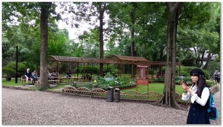 Harry Bhadeshia, Wuhan, China, Wuhan University of Science and Technology, WUST, Steels, Physical Metallurgy, 2017