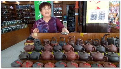 Harry Bhadeshia, Wuhan, China, Wuhan University of Science and Technology, WUST, Steels, Physical Metallurgy, 2017