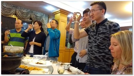 Harry Bhadeshia, Wuhan, China, Wuhan University of Science and Technology, WUST, Steels, Physical Metallurgy, 2017